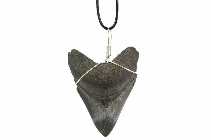 Fossil Megalodon Tooth Necklace #95233